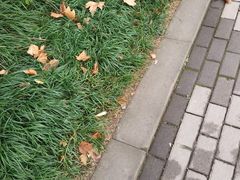 -西南政法大学(渝北校区)