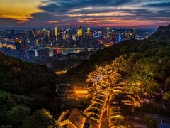 -南山植物园