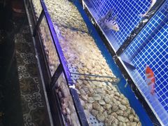 -五月罗马海鲜烤肉自助餐厅(印象城店)