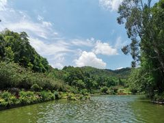 -深圳仙湖植物园