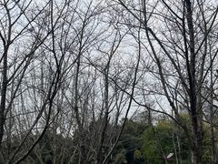-堤角公园