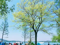 -贡湖湾湿地公园