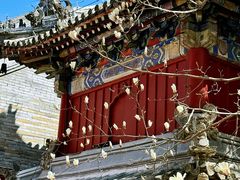 -潭柘寺景区