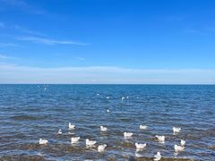 -青海湖国家重点风景名胜区