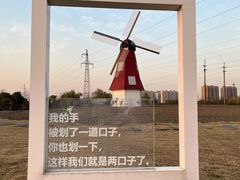 -菊园百果园