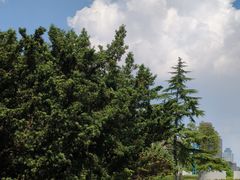 -白塘生态植物园