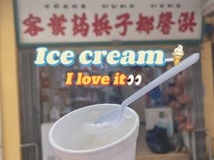 -洪馨椰子