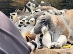 -秦皇岛野生动物园