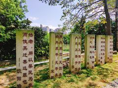 -金山公园