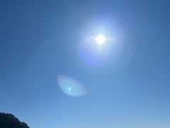 -仙人掌足疗养生馆(北京路至尊店)