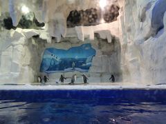 -华夏文旅海洋公园