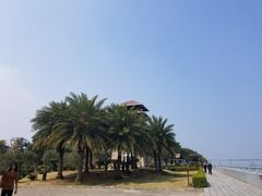 -大湾区中央湿地公园