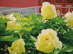 -大钟寺古钟博物馆