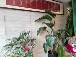 -威思丽高温瑜伽会馆