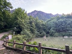 -莲峰云海景区