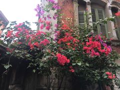 -杨桃院子旅馆(厦门鼓浪屿中华红墨店)