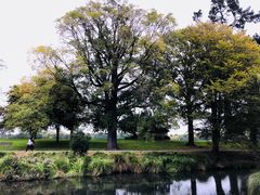 -Pedro's House of Lamb(基督城)