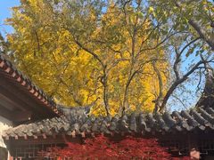 -郑和公园