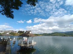 -正宗杨记普洱酸醋米线(总店)