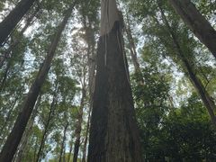 -南国桃园旅游度假区