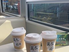 -莫尔道嘎国家森林公园