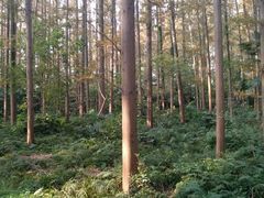 -上海怡沁园度假酒店