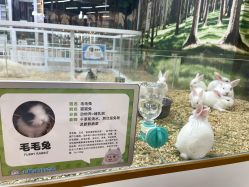 -小象动悟公园(龙湖亦庄天街店)