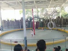 -泉州海丝野生动物世界