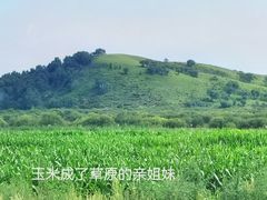 -御道口草原森林风景区
