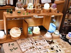 -二酉书店TOYOU BOOKS