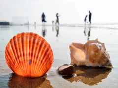 -秦皇国际大酒店·自助餐