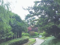 -兰溪青年公园