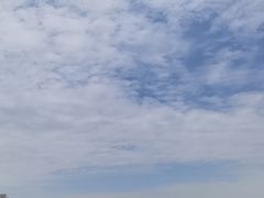 -无忧学车·华茂基地(宝山校区)