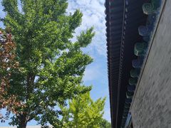 -戚继光故里