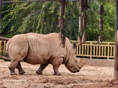 -鄂尔多斯野生动物园