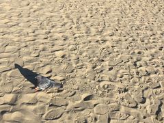 -海云台海滩