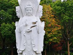 -安亭老街