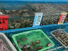 店内环境-渔民船说·北塘海鲜·天津菜·海肠捞饭(北塘古镇店)