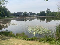 -白鹭湾湿地公园