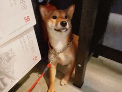 -柚下次·关东煮