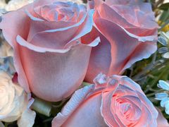 -循礼门鲜花花市(武汉循礼门店)