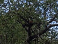 iphone_upload_pic-宗角禄康公园