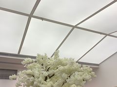 -艾薯夫妇Aysh(福田星河COCOPark店)