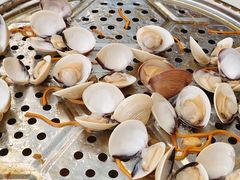 -凯盈阁私房菜·桑拿鸡(绿茵花园店)