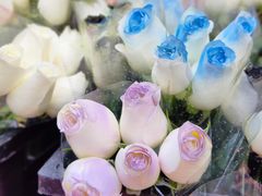 -循礼门鲜花花市(武汉循礼门店)