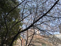 景观位-玛格萝妮比萨屋(四平店)