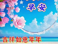 -圣贝口腔(海淀店)