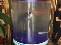 -解家河南菜(商鼎路店)