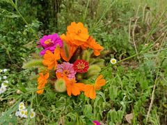 -汉丽轩韩式自助烤肉(大学城龙湖U城天街A馆店)