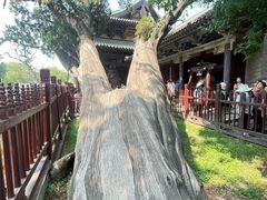 -晋祠博物馆